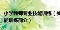 小學教師專業技能訓練(關于小學教師專業技能訓練簡介)