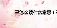 玊怎么讀什么意思(玊怎么讀)