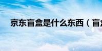 京東盲盒是什么東西(盲盒是什么東西)