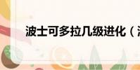 波士可多拉幾級進化(波士可多拉)