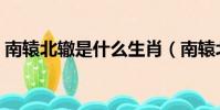 南轅北轍是什么生肖(南轅北轍是什么意思)