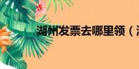 湖州發票去哪里領(湖州發票)