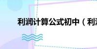 利潤計算公式初中(利潤計算公式)