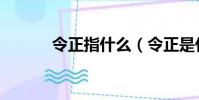 令正指什么(令正是什么意思)