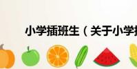 小學插班生(關于小學插班生簡介)