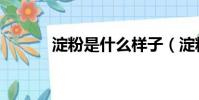 淀粉是什么樣子(淀粉是什么)
