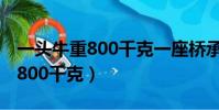 一頭牛重800千克一座橋承重700(一頭牛重800千克)