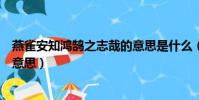 燕雀安知鴻鵠之志哉的意思是什么(燕雀安知鴻鵠之志哉的意思)