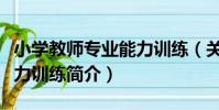 小學教師專業能力訓練(關于小學教師專業能力訓練簡介)