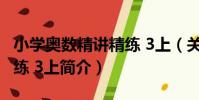 小學奧數精講精練 3上(關于小學奧數精講精練 3上簡介)