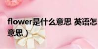 flower是什么意思 英語怎么讀(flow是什么意思)