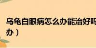 烏龜白眼病怎么辦能治好嗎(烏龜白眼病怎么辦)