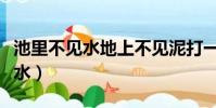 池里不見水地上不見泥打一個字謎(池里不見水)