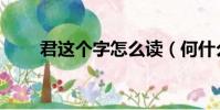 君這個字怎么讀(何什么君怎么讀)