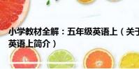 小學教材全解:五年級英語上(關于小學教材全解:五年級英語上簡介)