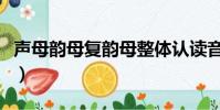 聲母韻母復韻母整體認讀音節表圖(聲母韻母)