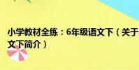 小學教材全練:6年級語文下(關于小學教材全練:6年級語文下簡介)