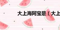 大上海阿寶是(大上海 阿寶)