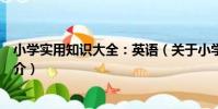小學實用知識大全:英語(關于小學實用知識大全:英語簡介)