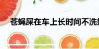 蒼蠅屎在車上長時間不洗好嗎(蒼蠅屎)