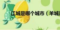 江城是哪個城市(羊城是哪個城市)