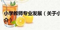 小學教師專業發展(關于小學教師專業發展簡介)