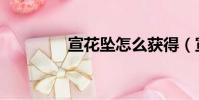宣花墜怎么獲得(宣花墜)