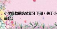 小學奧數系統總復習 下冊(關于小學奧數系統總復習 下冊簡介)