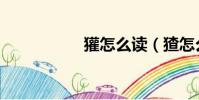 獾怎么讀(猹怎么讀)