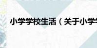 小學學校生活(關于小學學校生活簡介)