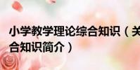小學教學理論綜合知識(關于小學教學理論綜合知識簡介)