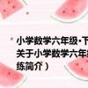 小學數學六年級·下-北京課改版-北大綠卡-新課標教材課時同步講練（關于小學數學六年級·下-北京課改版-北大綠卡-新課標教材課時同步講練簡介）
