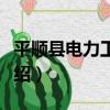 平順縣電力工業志（關于平順縣電力工業志介紹）