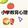 小學教育心理學（關于小學教育心理學簡介）