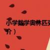 小學數學奧林匹克起跑線（關于小學數學奧林匹克起跑線簡介）