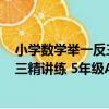 小學數學舉一反三精講練 5年級A版（關于小學數學舉一反三精講練 5年級A版簡介）