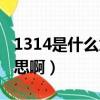 1314是什么意思啊圖片大全（1314是什么意思啊）