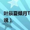 葉辰夏傾月TXT（夏傾月葉辰葉語凝是什么小說）