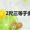2尺三等于多少厘米（2 3尺是多少厘米）