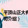 平頂山正大有限公司（關于平頂山正大有限公司介紹）