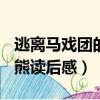 逃離馬戲團的熊讀后感500字（逃離馬戲團的熊讀后感）