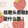 低著頭勇敢的向前走是什么歌（勇敢的向前走是什么歌）