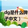 dg是什么牌子中文犯了什么錯（dg是什么牌子中文）