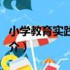 小學教育實踐導引（關于小學教育實踐導引簡介）