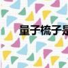 量子梳子是量子科技產品嗎（量子梳）