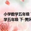 小學數學五年級 下-黃岡練考新視野 新修訂版（關于小學數學五年級 下-黃岡練考新視野 新修訂版簡介）