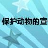 保護動物的宣傳語英文（保護動物的宣傳語）
