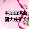 平頂山煤業 集團大莊礦（關于平頂山煤業 集團大莊礦介紹）