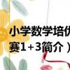 小學數學培優競賽1+3（關于小學數學培優競賽1+3簡介）