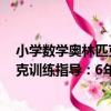 小學數學奧林匹克訓練指導：6年級（關于小學數學奧林匹克訓練指導：6年級簡介）